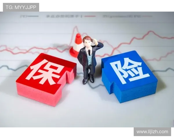 大赢家平台：完善的风险控制体系保障投资安全与收益稳定